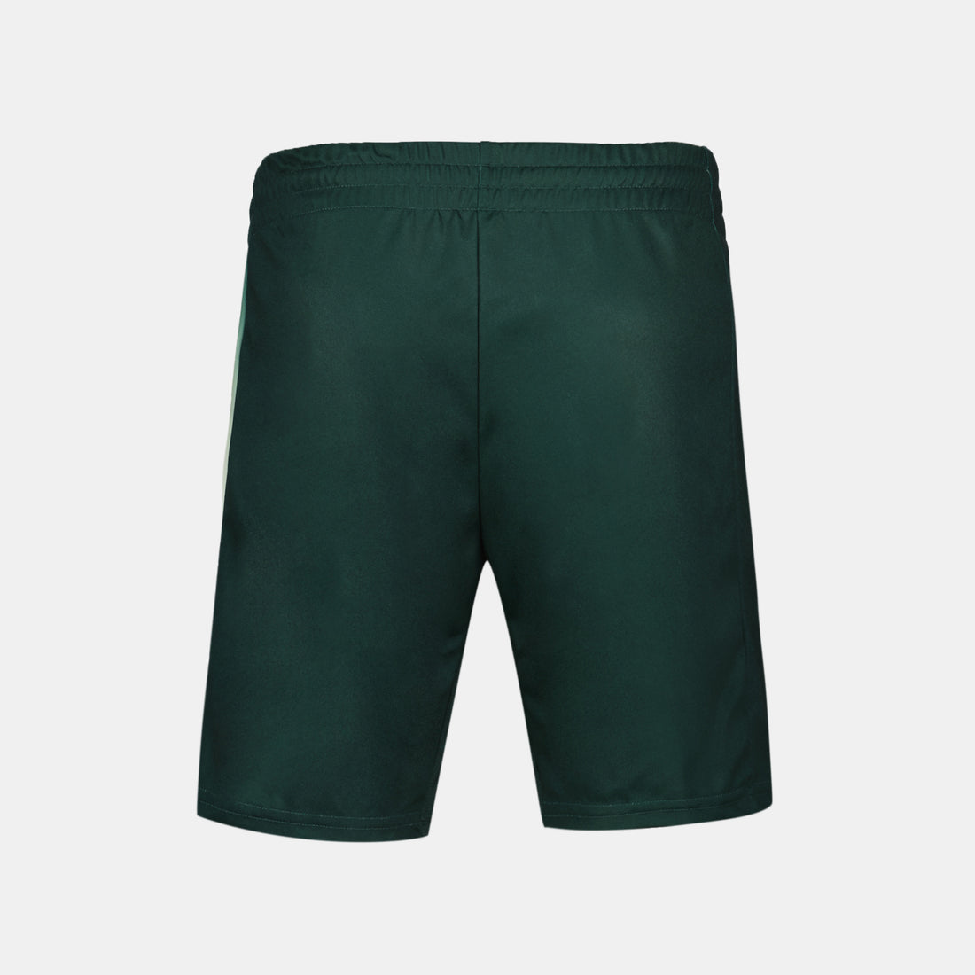 2421443-TENNIS PRO Short 24 N°2 M scarab  | Shorts for men