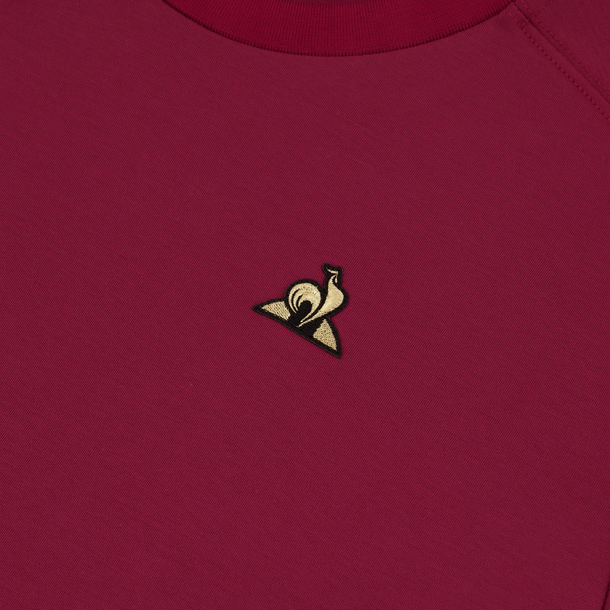 2521004-COQ D&